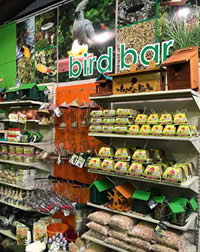 Our Bird Bar is jam packed!